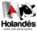 Holandês